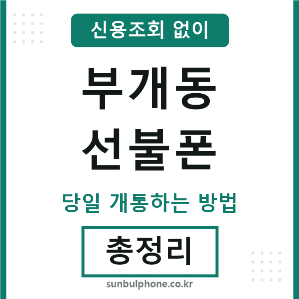 부개동선불폰