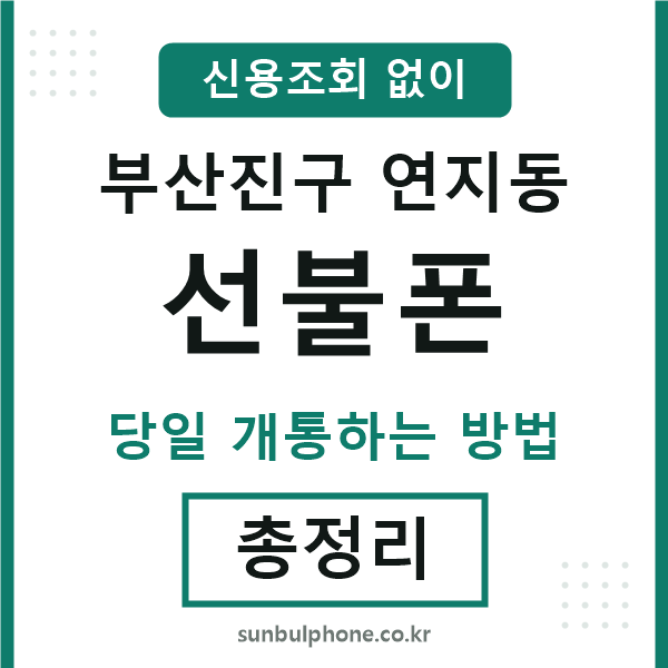 부산진구연지동선불폰