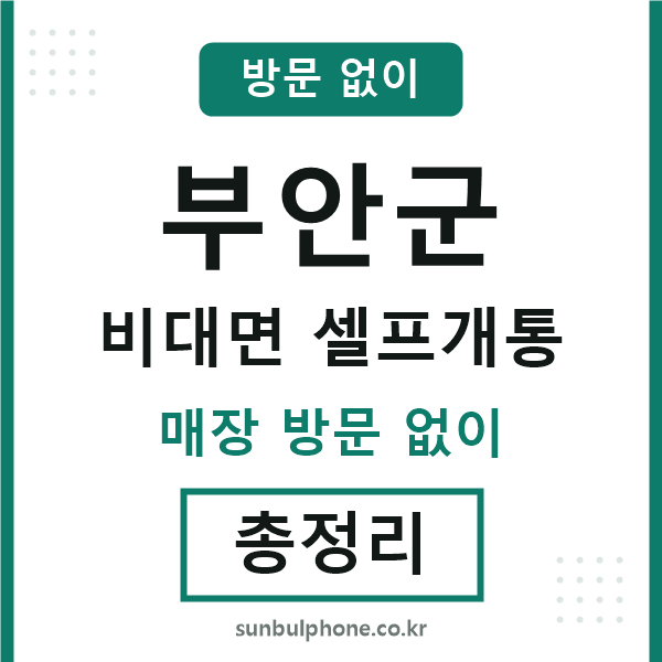 부안군 비대면 셀프개통