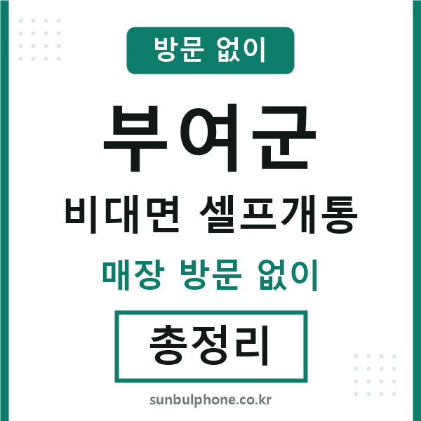 부여 비대면 셀프개통