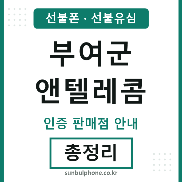 부여엔텔레콤