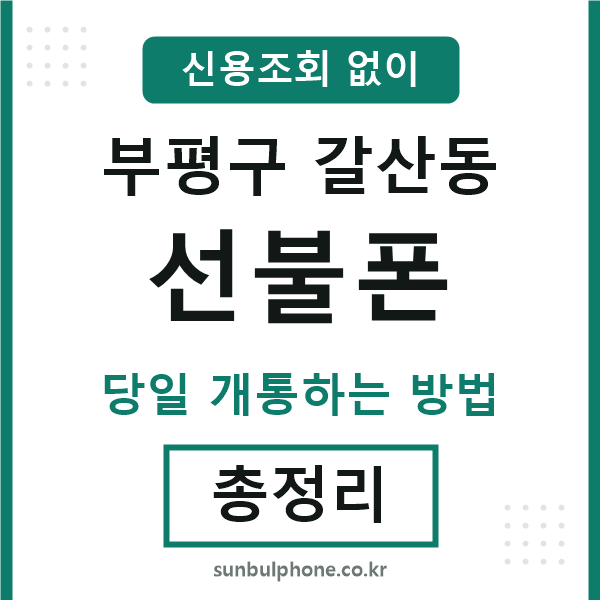 부평구갈산동선불폰