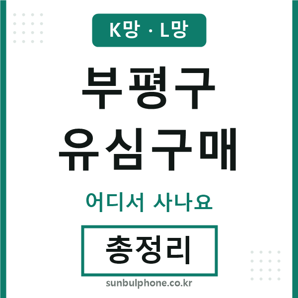 부평 유심구매