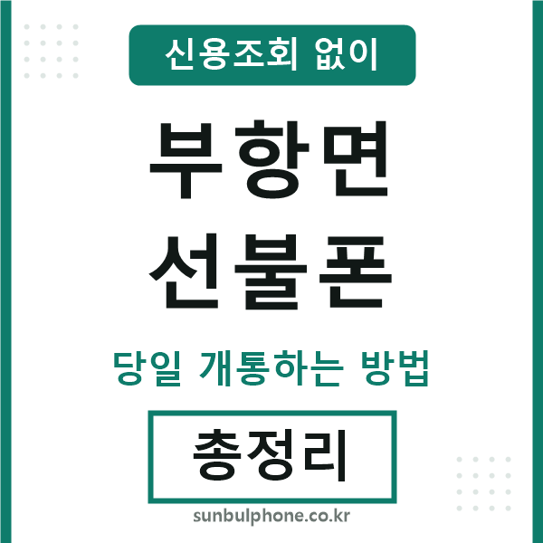부항면선불폰
