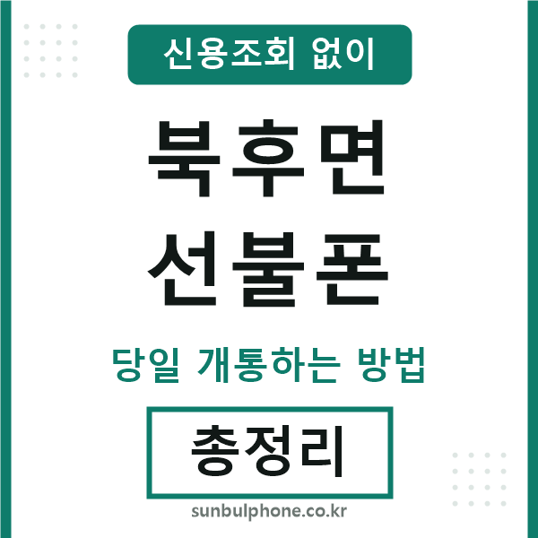 북후면선불폰