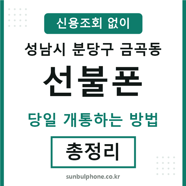 분당구금곡동선불폰