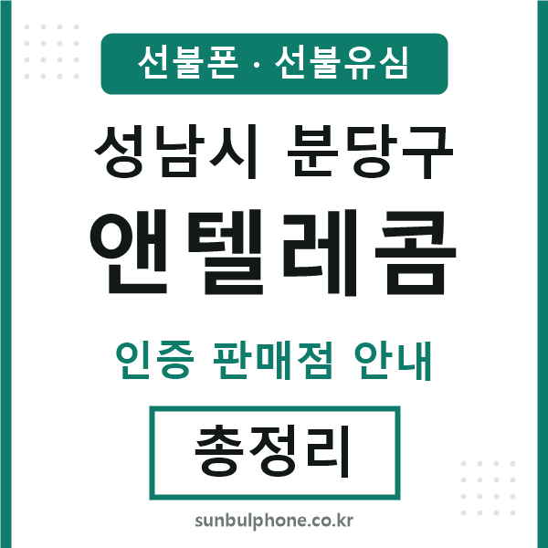 분당엔텔레콤