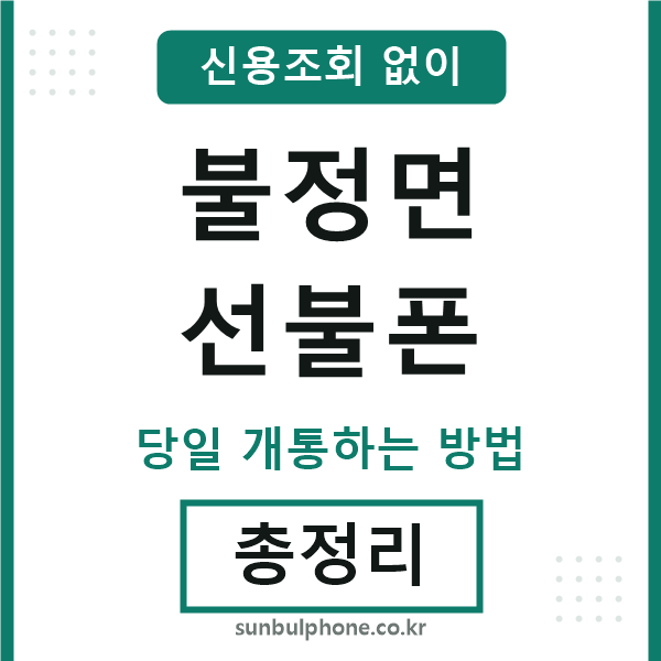 불정면선불폰