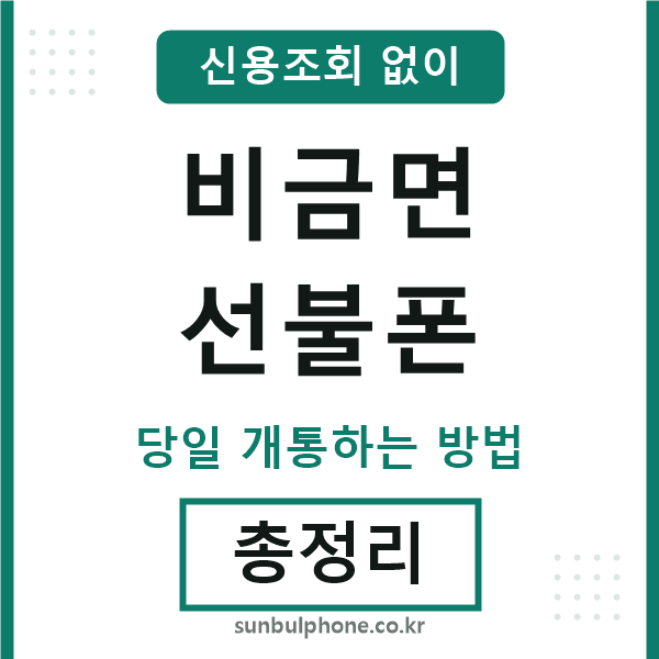 비금면선불폰