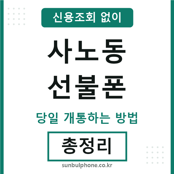 사노동선불폰
