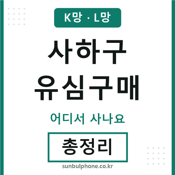 사하 유심구매