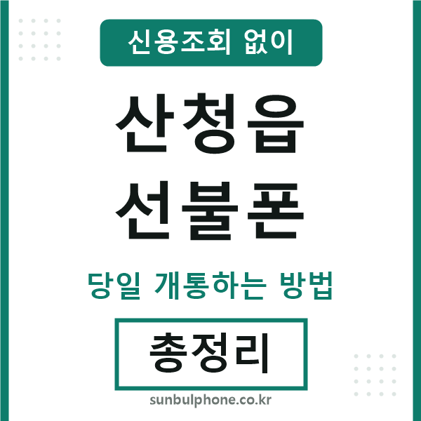 산청읍선불폰