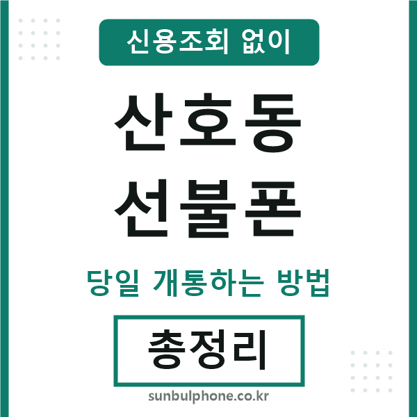 산호동선불폰