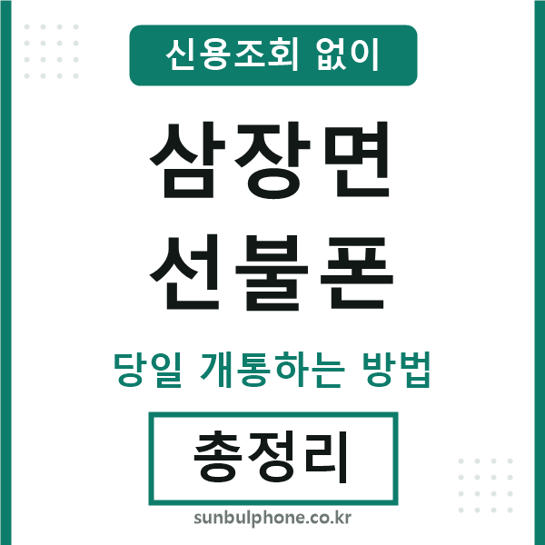삼장면선불폰