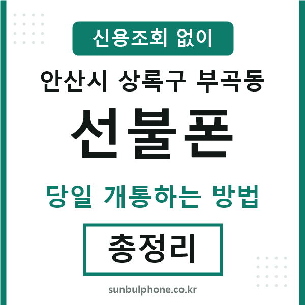 상록구부곡동선불폰