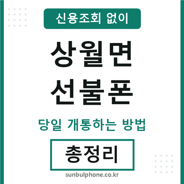 상월면선불폰