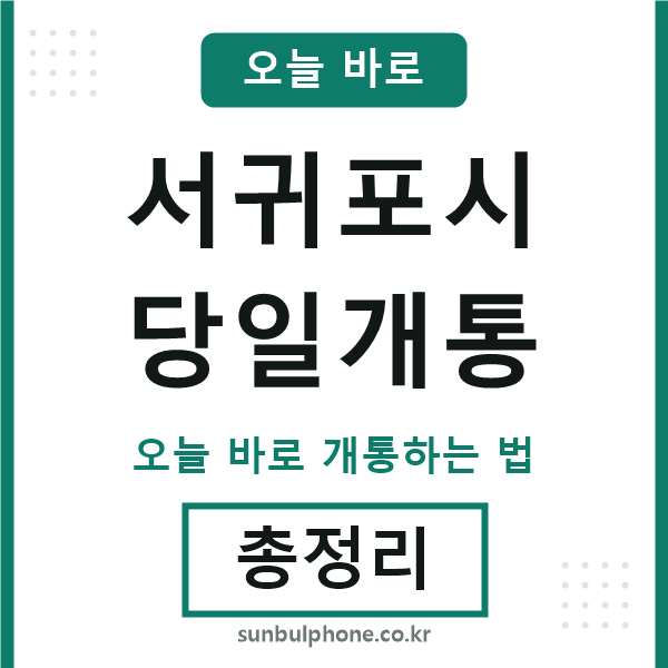 서귀포 당일개통
