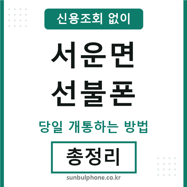 서운면선불폰