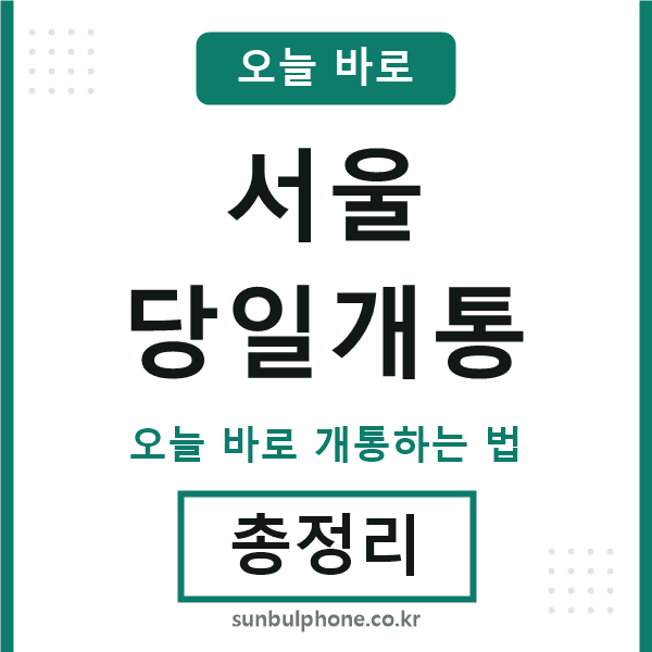 서울 당일개통