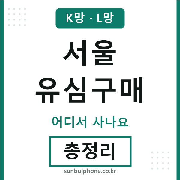 서울 유심구매
