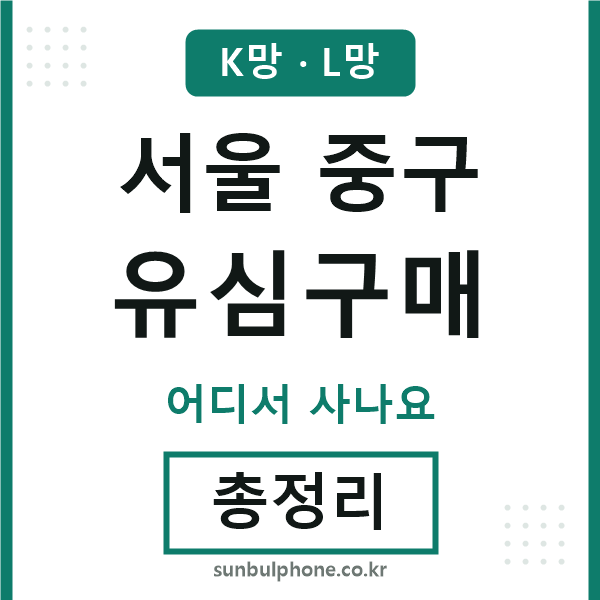 서울중구 유심구매