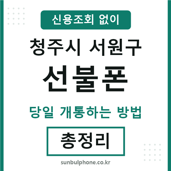 서원구선불폰