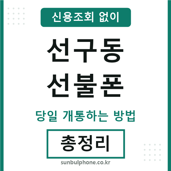 선구동선불폰