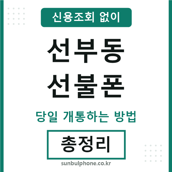 선부동선불폰