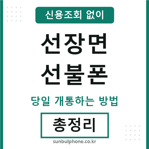 선장면선불폰