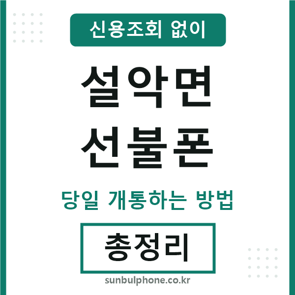 설악면선불폰