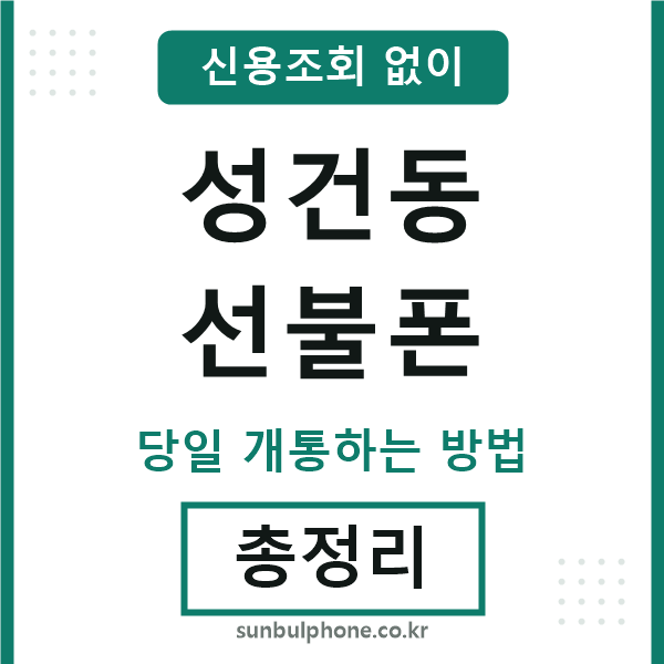 성건동선불폰
