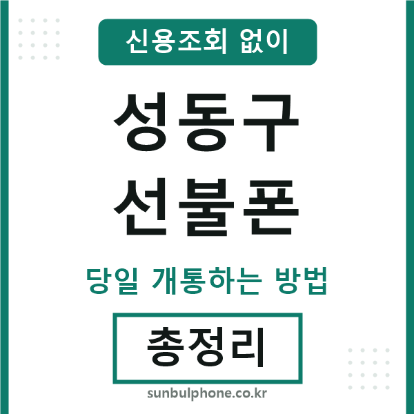 성동구선불폰
