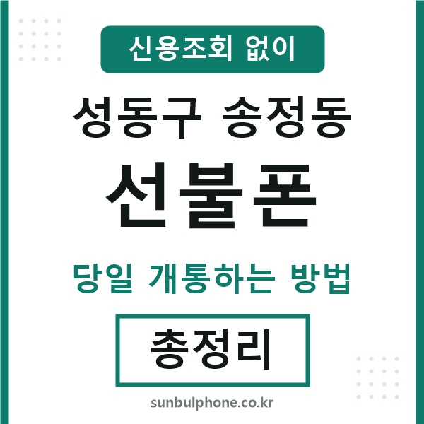 성동구송정동선불폰