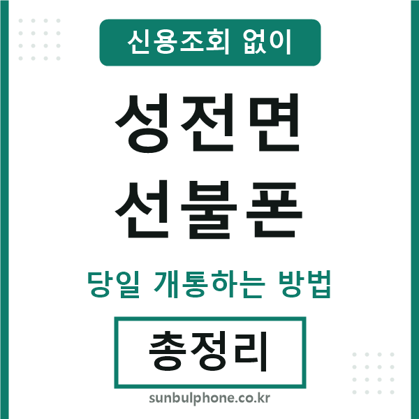 성전면선불폰