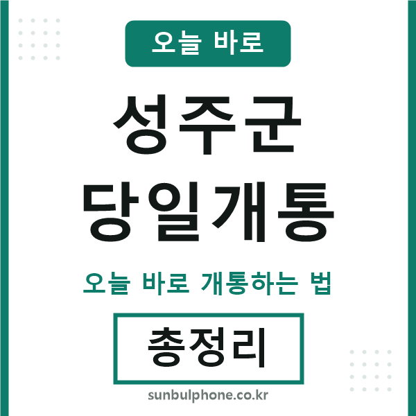 성주군 당일개통