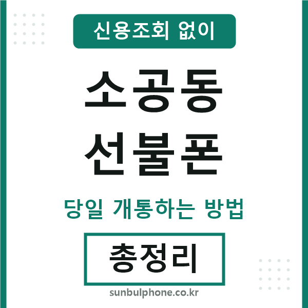 소공동선불폰