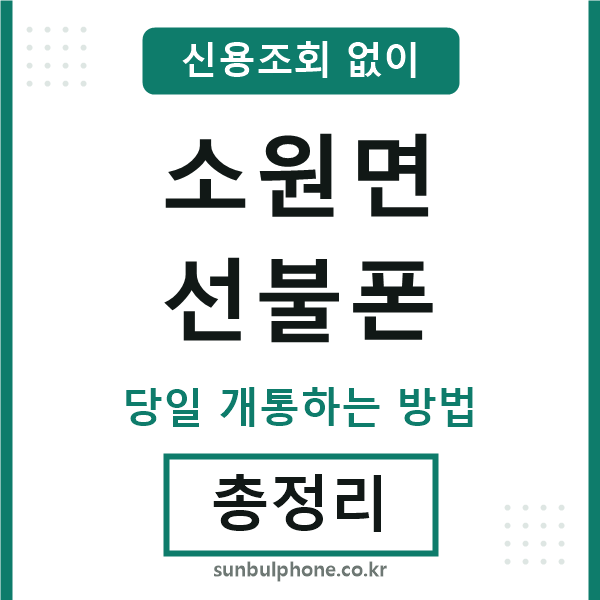 소원면선불폰