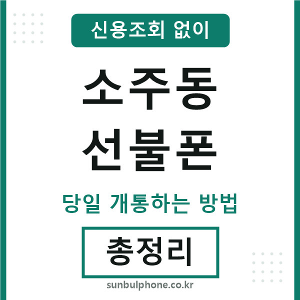 소주동선불폰