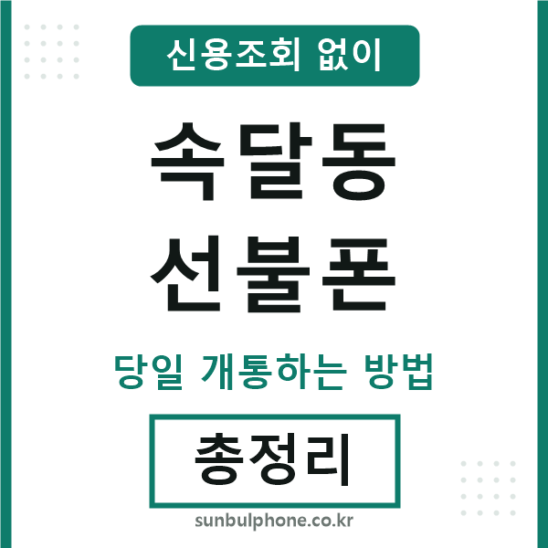 속달동선불폰