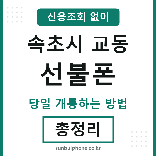 속초시교동선불폰