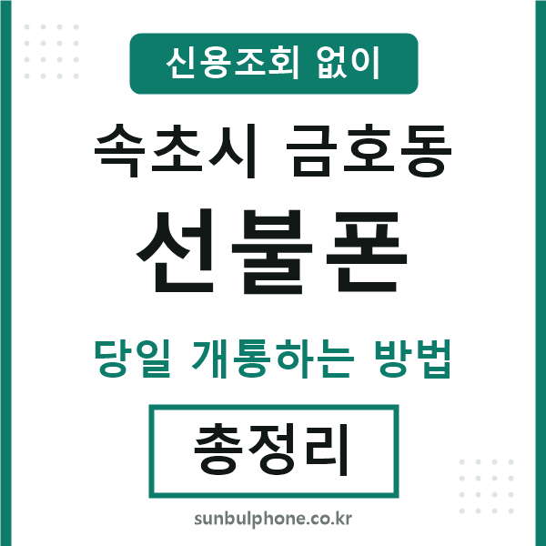 속초시금호동선불폰