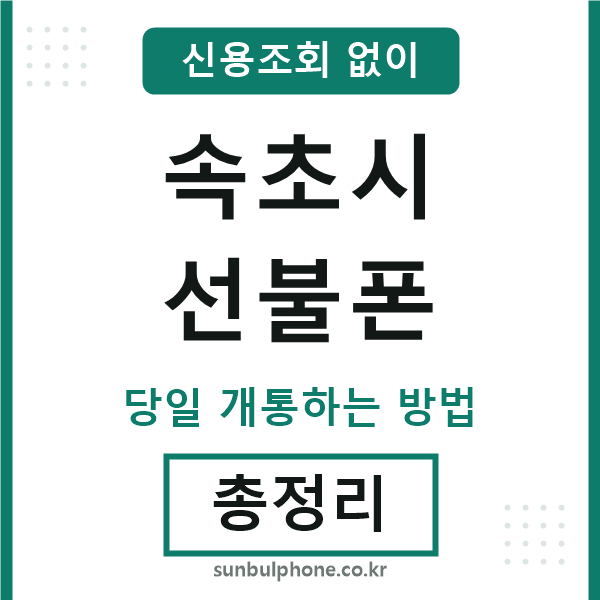 속초시선불폰