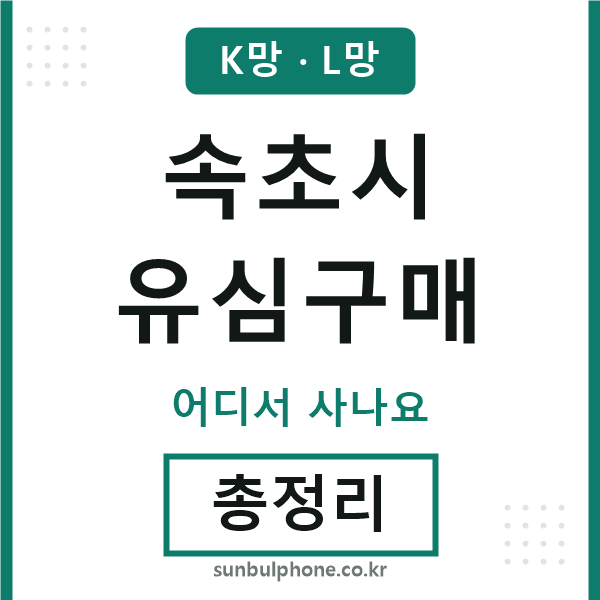 속초시 유심구매