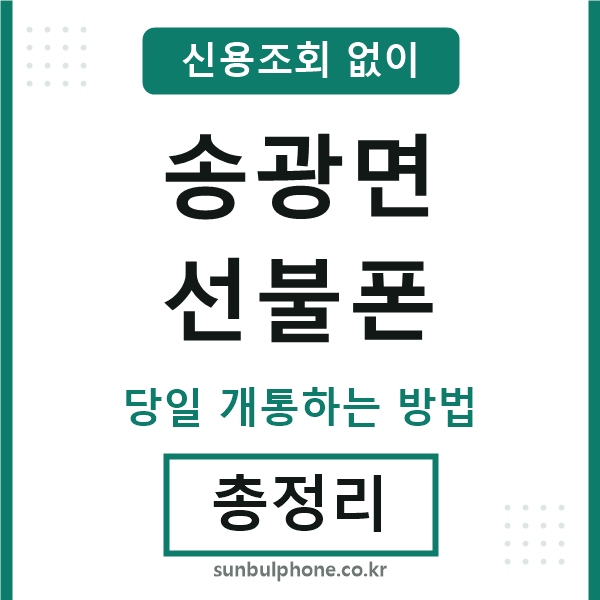 송광면선불폰