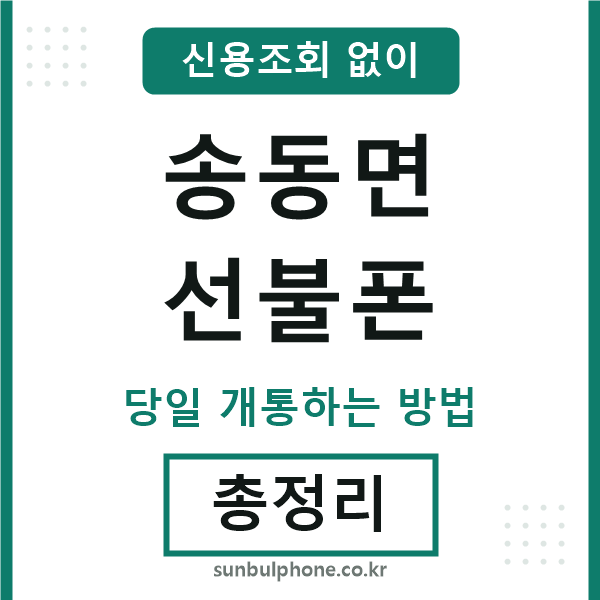 송동면선불폰