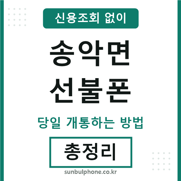송악면선불폰