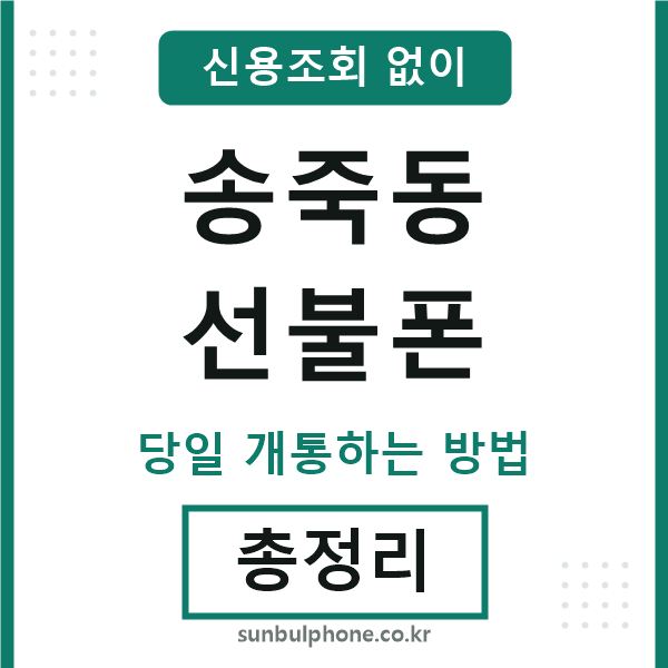 송죽동선불폰