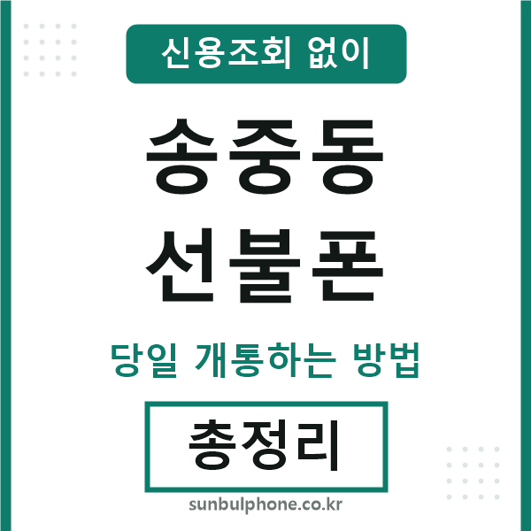 송중동선불폰