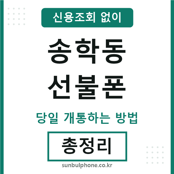 송학동선불폰