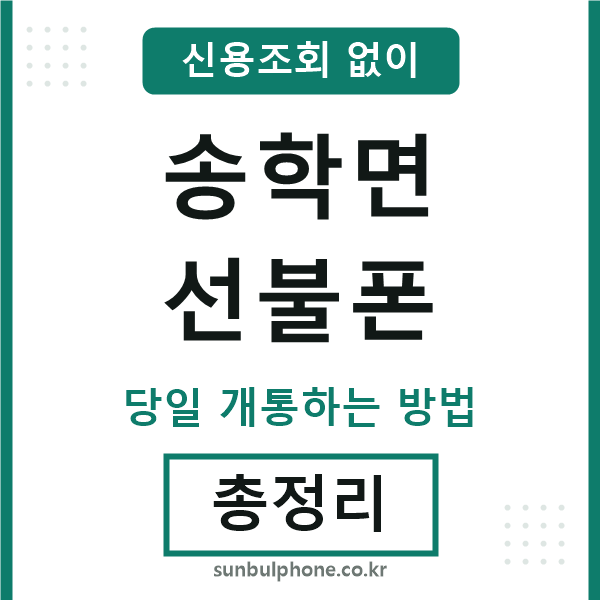 송학면선불폰